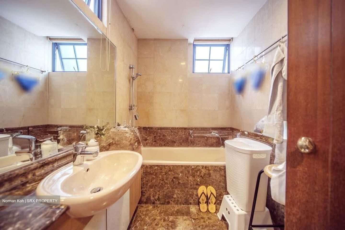 Sanctuary Green (D15), Condominium #609547811